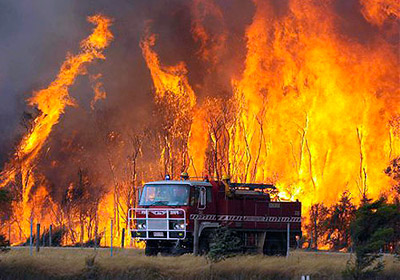 fuego-bosque