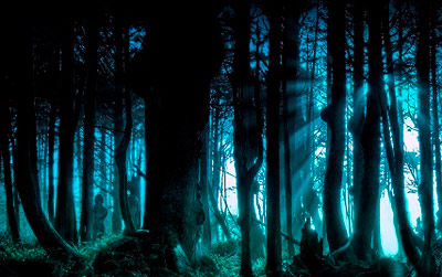 bosque-noche