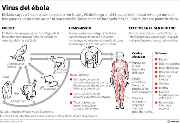 ebola-grafic