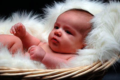 bebe