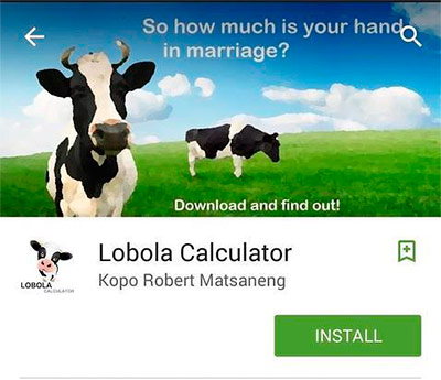 calculador-vacas