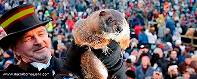 eldia-marmota