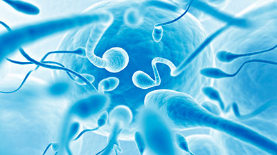 semen-tgn