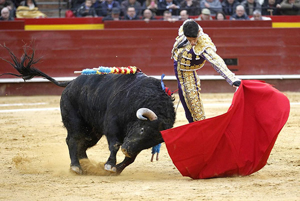 toros