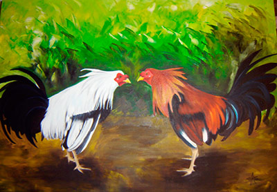 gallos-pelea