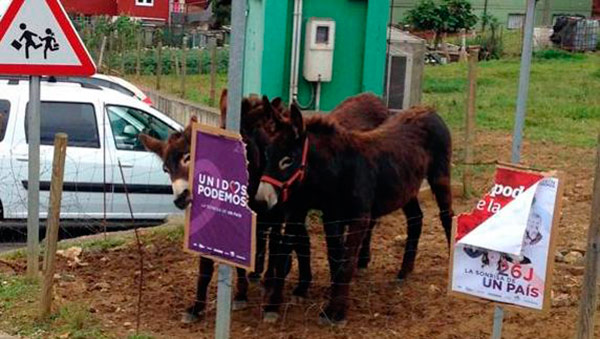 burros-unidos-podemos