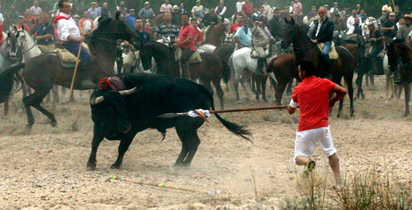 torodelavega