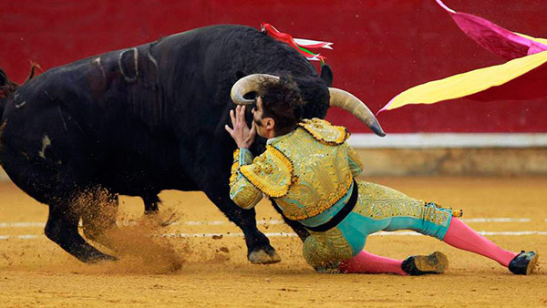 padilla-toro-ojo