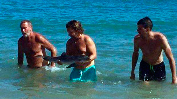 Muere un delfín en Mojácar (Almería). Foto: Equinac delfin-turistas