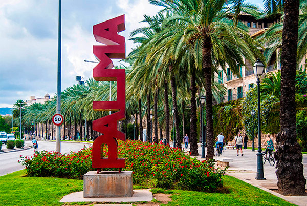 palma