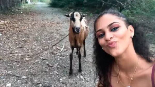 selfie cabra