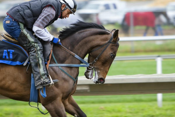 caballo-carreras
