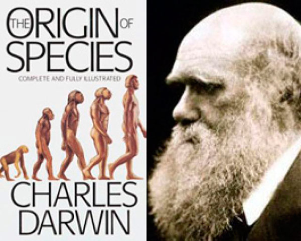 darwin