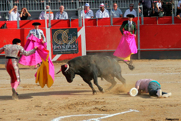 antitaurino-carcassonne
