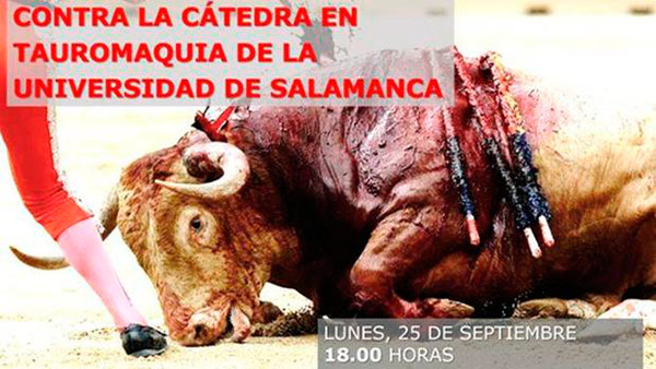catedra-tauromaquia