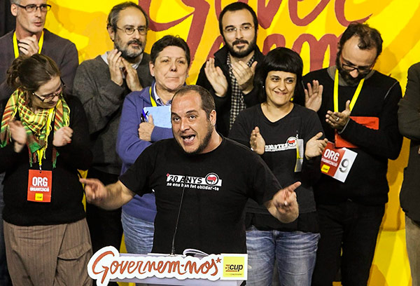 fernandez-cup