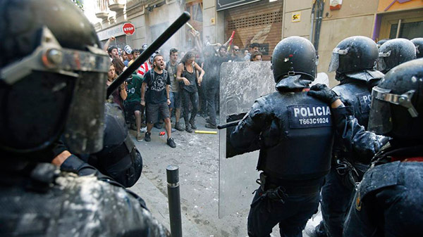 mossos-cup