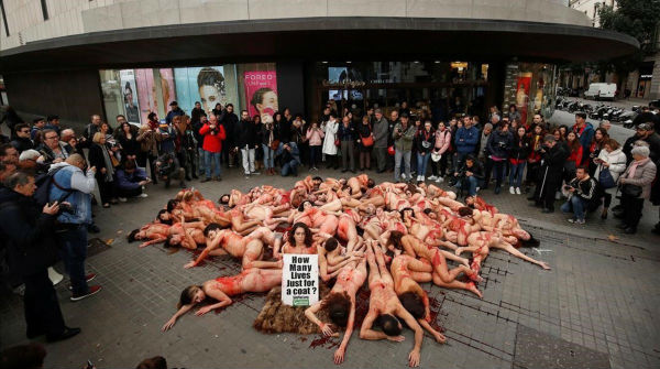 animalistas performance