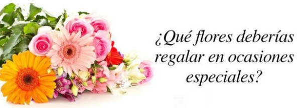 flores-especiales