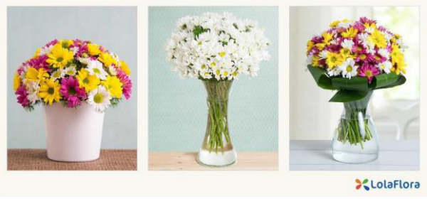 flores-mujeres