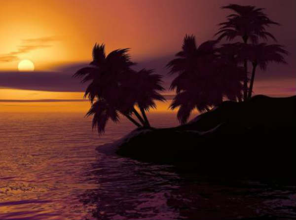 palmeras-playa