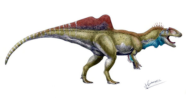 concavenator