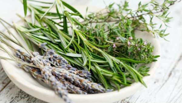 hierbas aromaticas