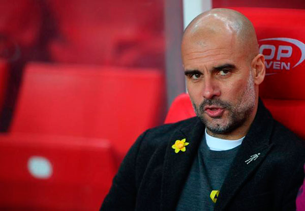 guardiola-flor-amarilla