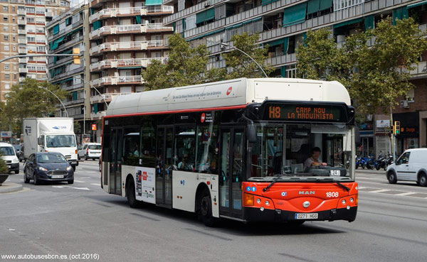 bus tmb