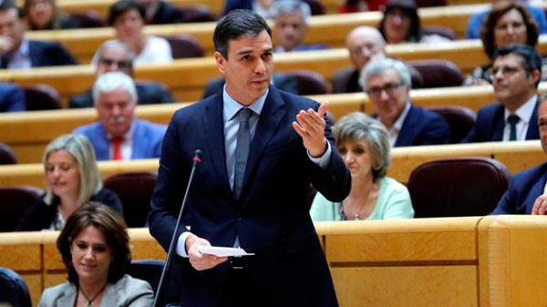 sanchez senado