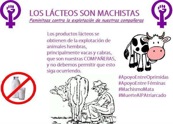 lacteos machistas