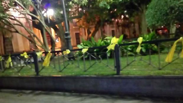 lazos amarillos cadiz