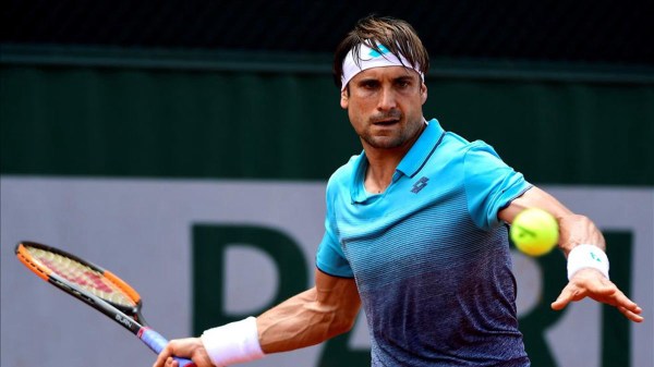 david ferrer