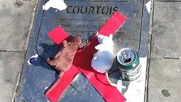 placa courtois