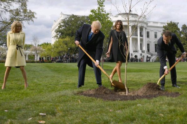 trump macron