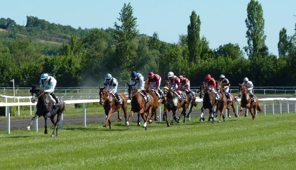 carrera caballos