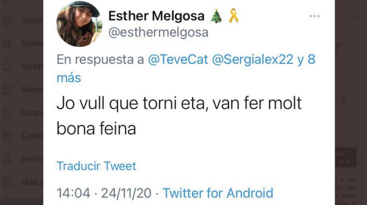 esther melgosa erc