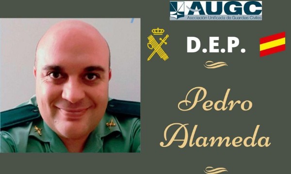 pedro alameda