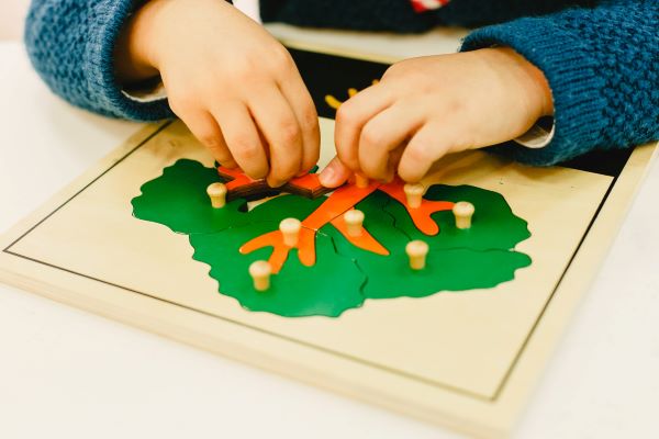 montessorri formacion