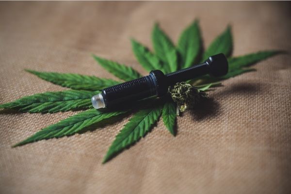 flores cbd