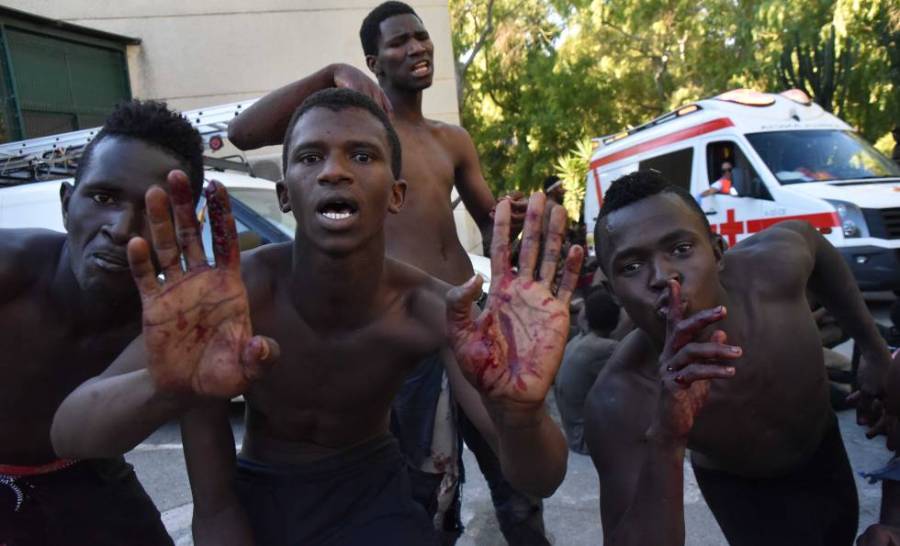 inmigrantes negros