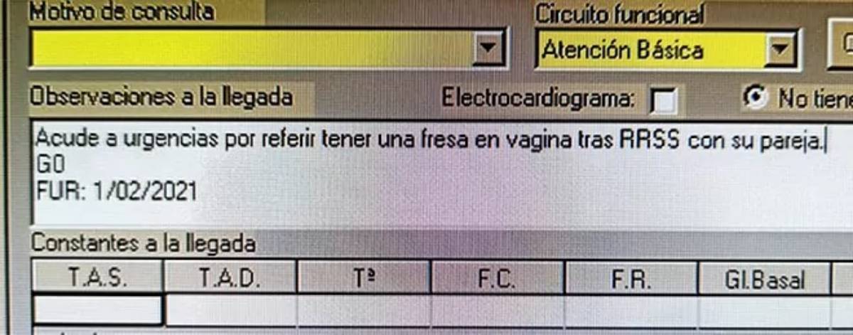 fresa vagina