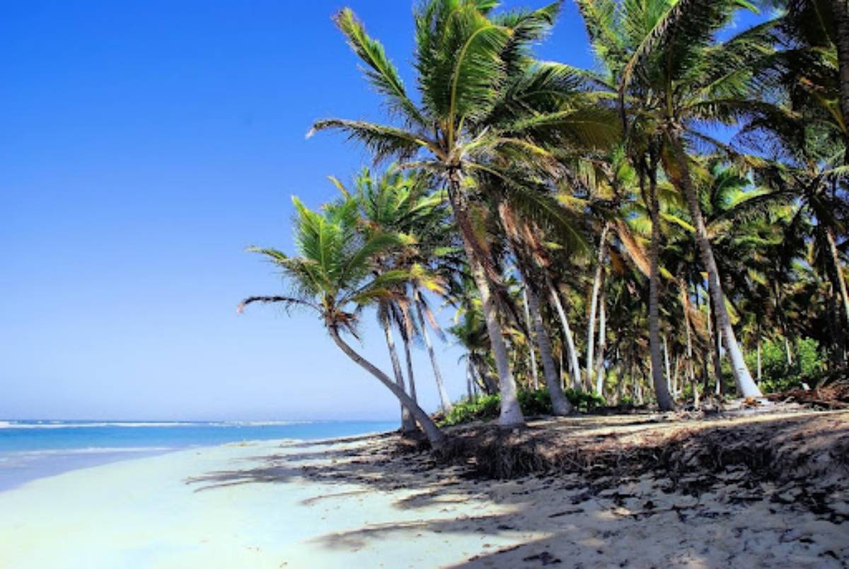 republica dominicana