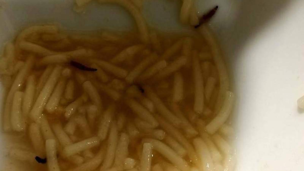sopa con gustanos