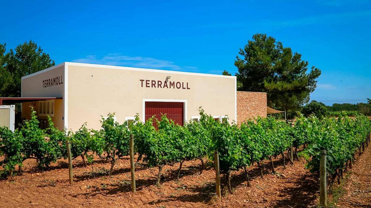 bodega terramoll
