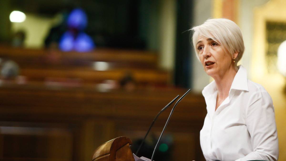 ines canizares vox