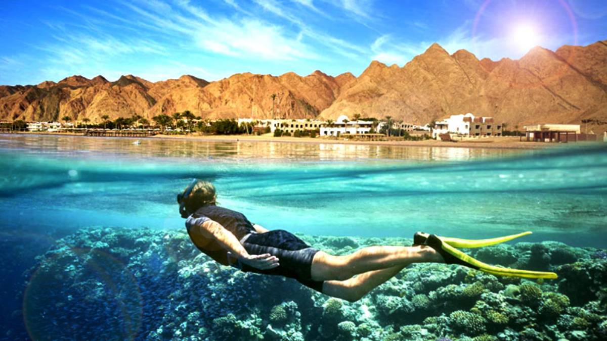 buceo mar rojo