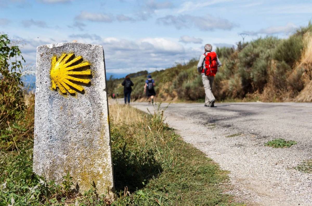 camino de santiago organizado