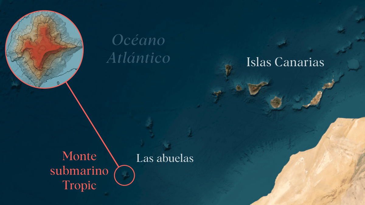 monte tropic