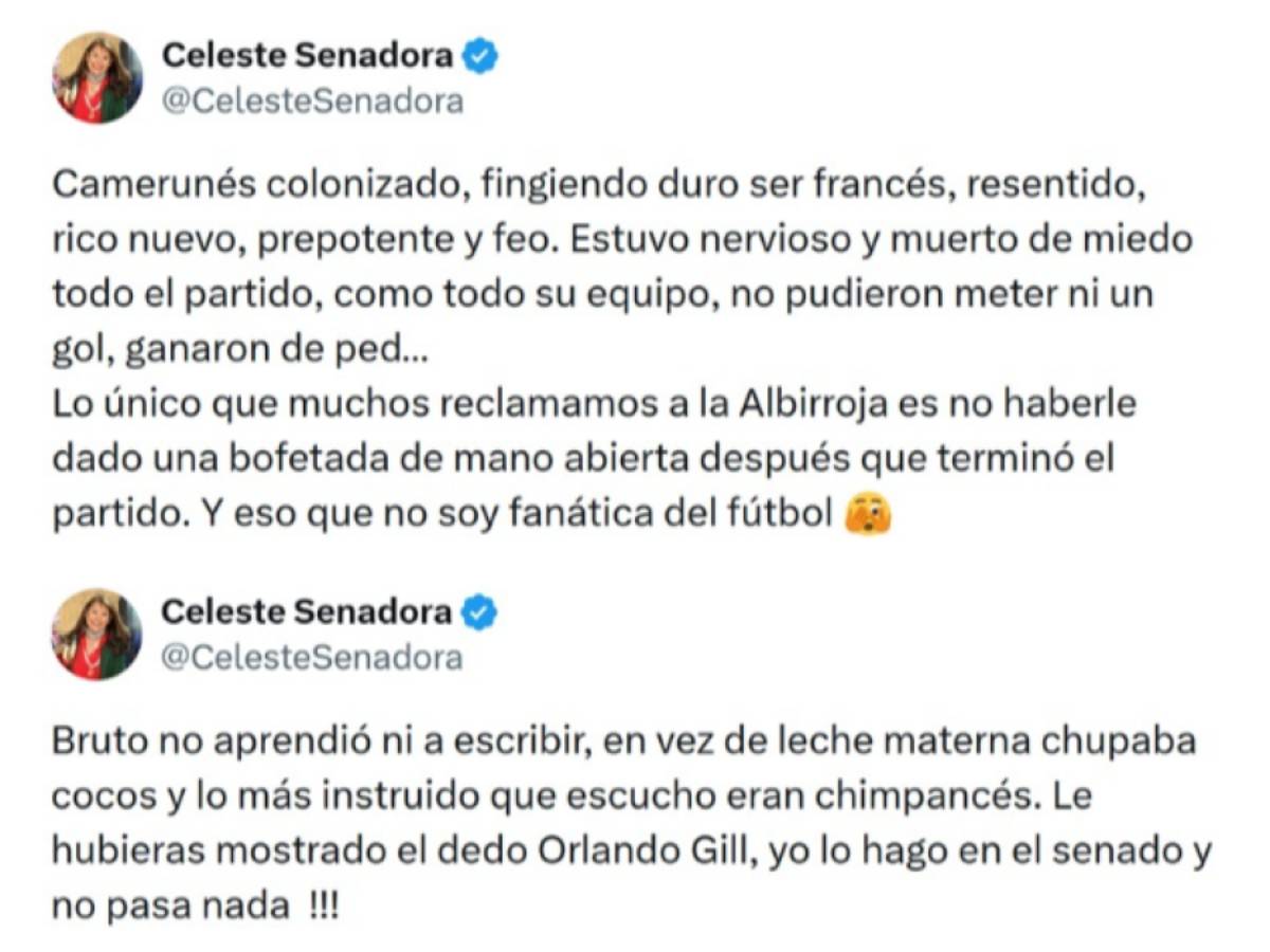 senadora paraguay